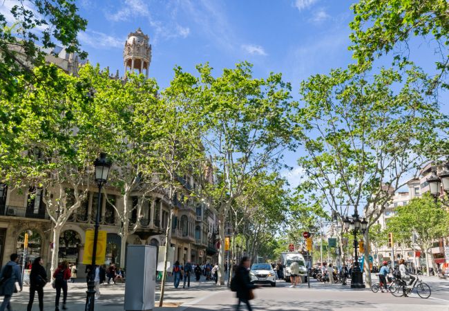 Apartamento en Barcelona - Batllo 2 City Center Apartamento en Barcelona - Batllo 2 City Center