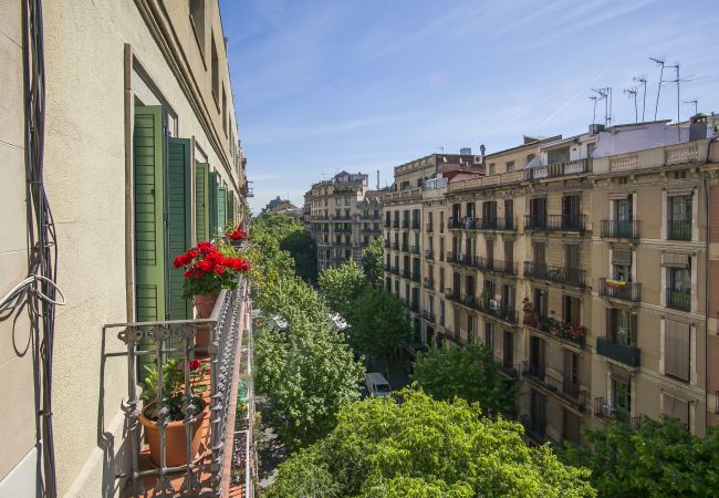 Apartamento en Barcelona - Miro F Apartment Apartamento en Barcelona - Miro F Apartment