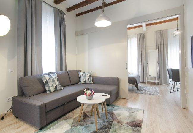 Apartamento en Barcelona - Plaza Espanya 3