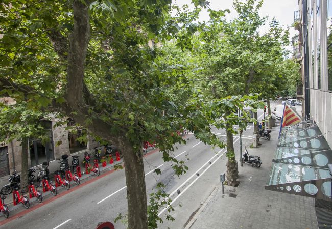 Apartamento en Barcelona - Miro C Apartment Apartamento en Barcelona - Miro C Apartment