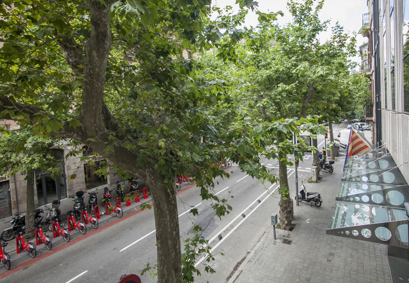 Apartamento en Barcelona - Miro C Apartment Apartamento en Barcelona - Miro C Apartment