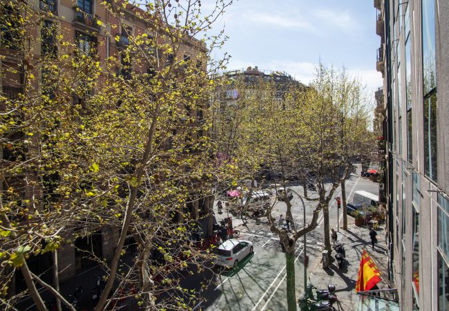 Apartamento en Barcelona - Miro K Apartment Apartamento en Barcelona - Miro K Apartment