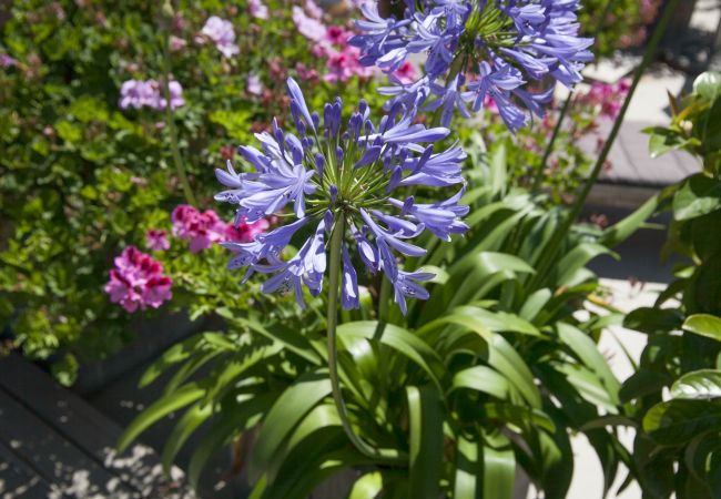 Apartamento en Barcelona - Miro Z Penthouse Apartamento en Barcelona - Miro Z Penthouse