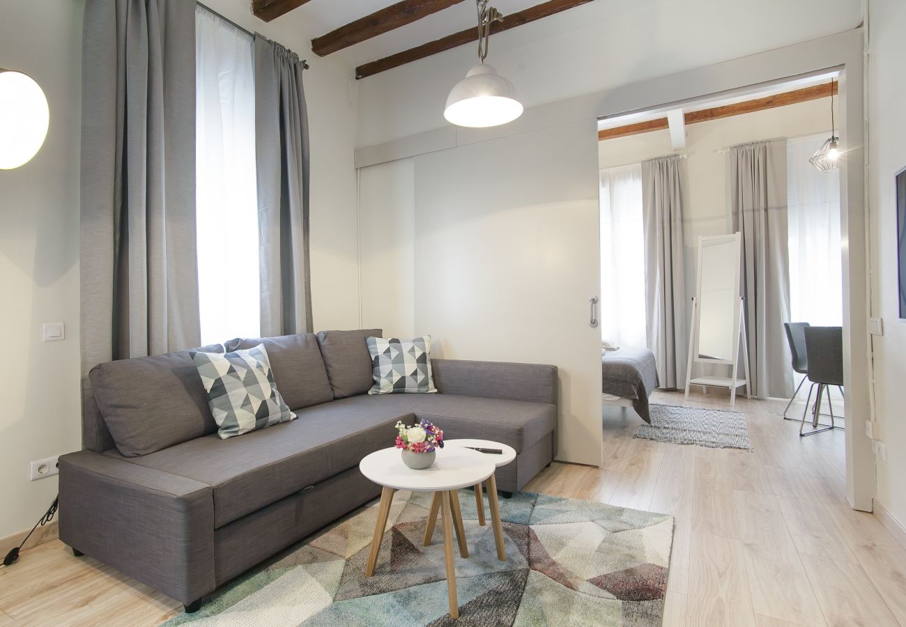Apartment in Barcelona - Plaza Espanya 3